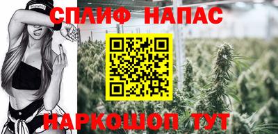 стафф Обь