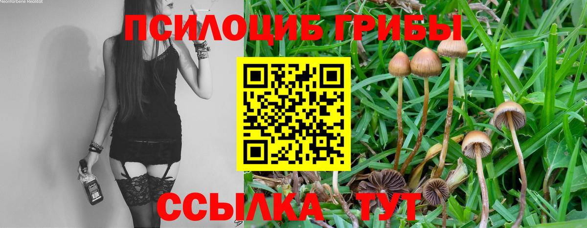 Галлюциногенные грибы GOLDEN TEACHER Сатка